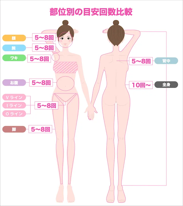 部位別_脱毛回数_比較図最新