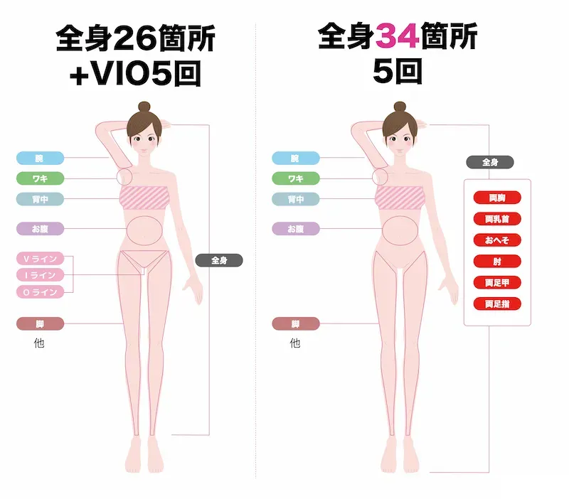 全身箇所比較