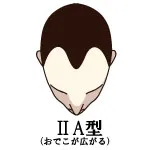 001-3-IIA型